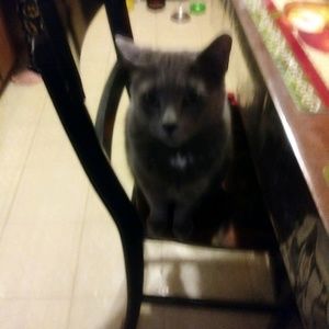 Meet your Posher, Laurie